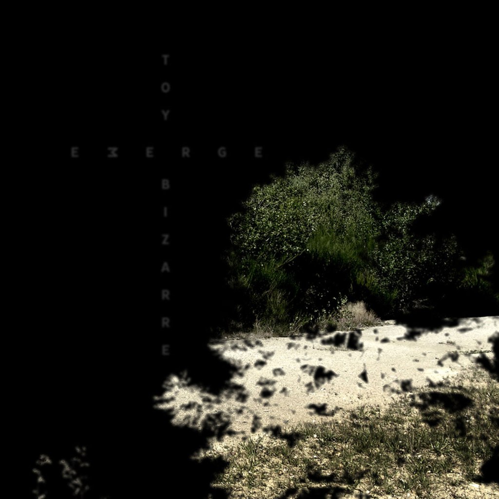 Toy Bizarre / Emerge – Split LP (Attenuation&nbsp;Circuit)