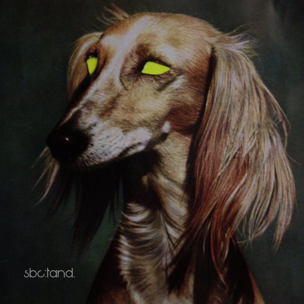 Suspicion Breeds Confidence – Tand CD (Attenuation&nbsp;Circuit)