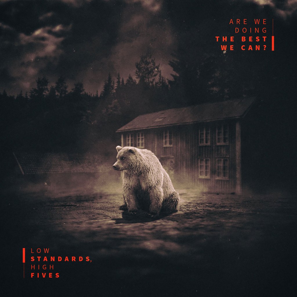 Low Standards, High Fives – Are We Doing The Best We Can? CD (Engineer&nbsp;Records)