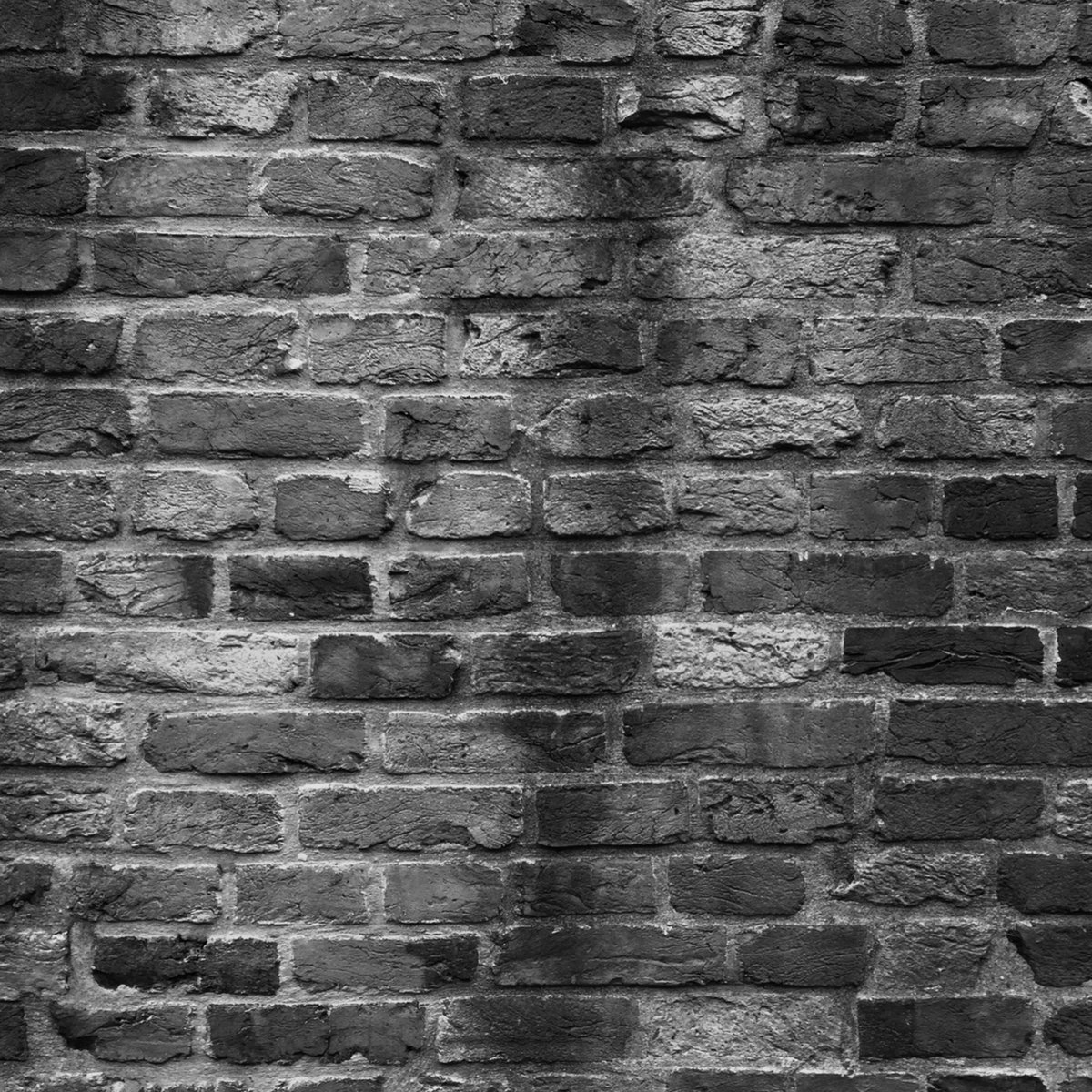 Night Slaves - Patient Zero CS - Swimming Faith Records