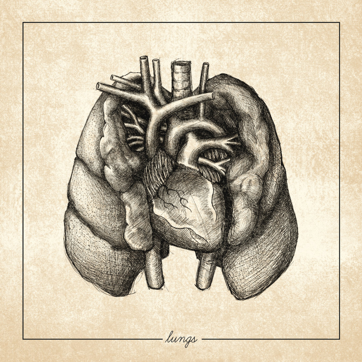 Regrowth - Lungs CD - Various Labels