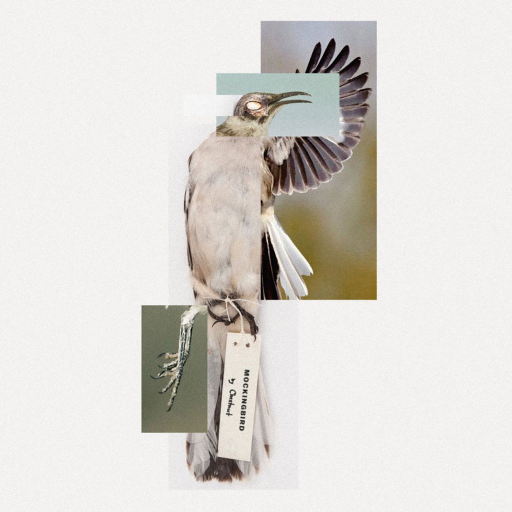 Chestnut - Mockingbird - Land Turtle Records