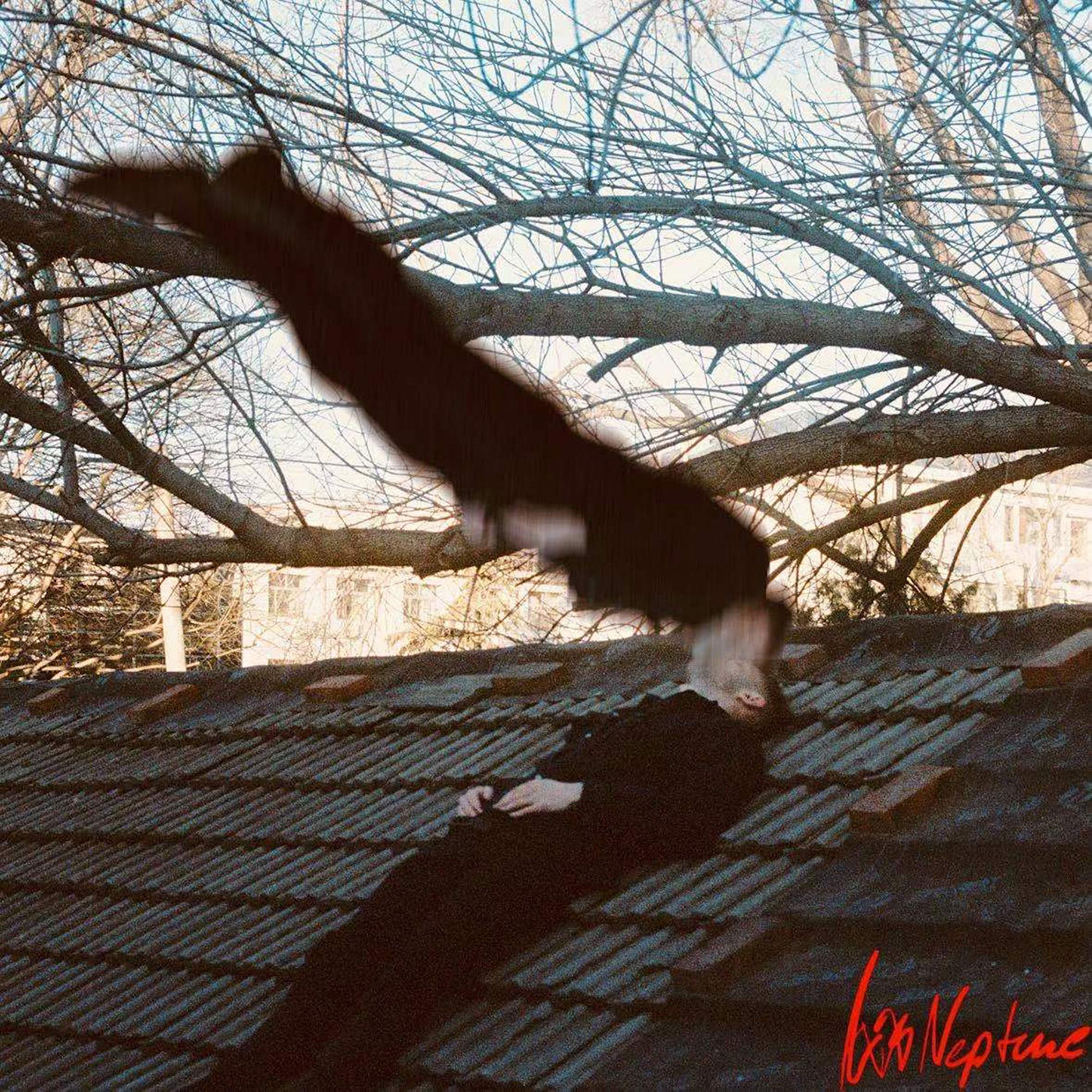 Axis Neptune - Reasons