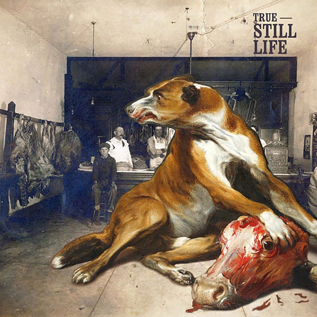 True – Still Life CD (Geenger&nbsp;Records)