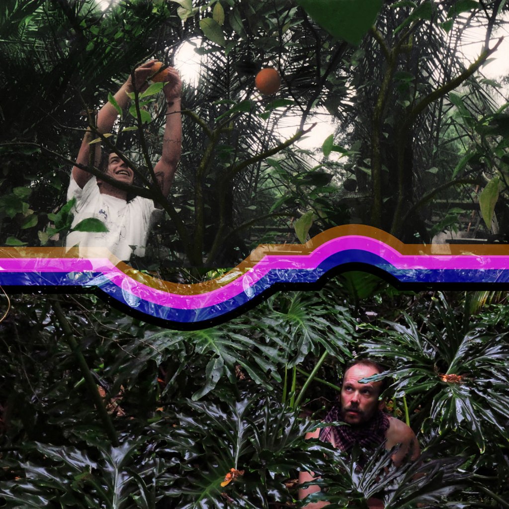 Daisy Vision –&nbsp;Terrascope