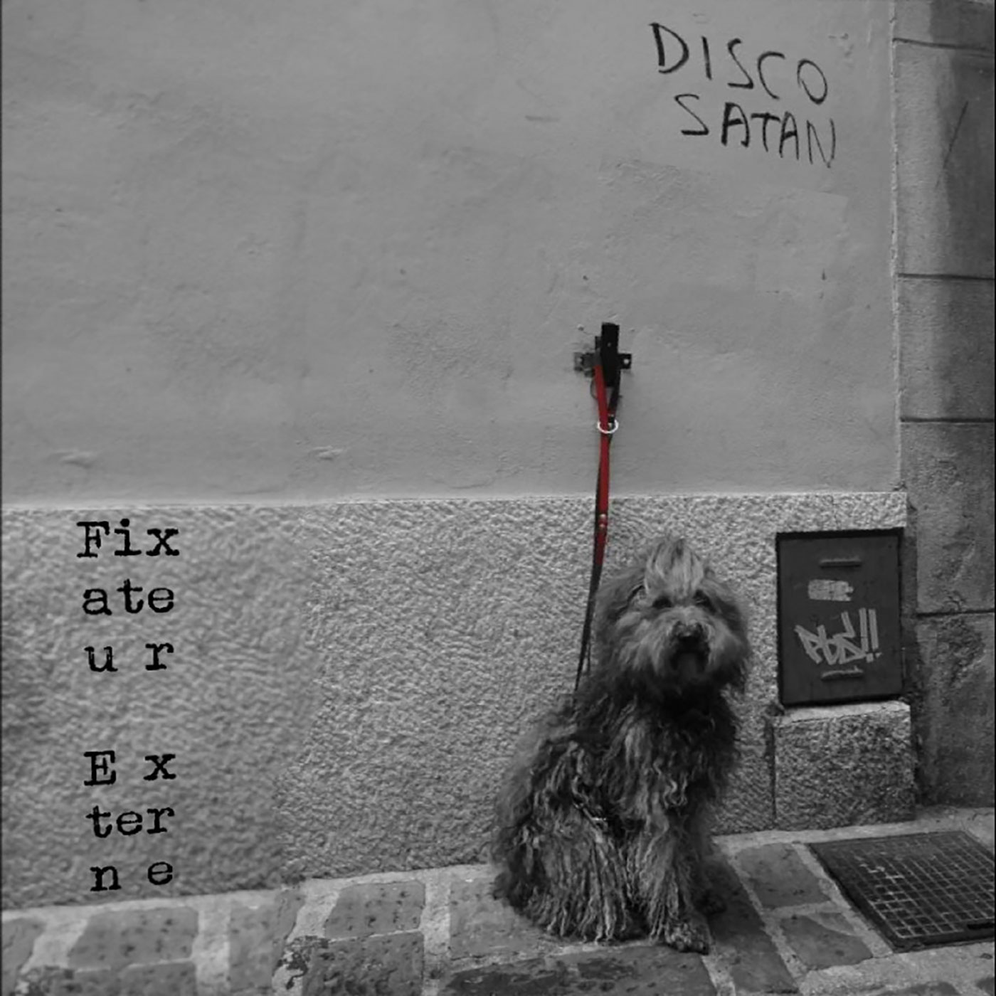 Fixateur Externe - Disco Satan USB - Unsigned