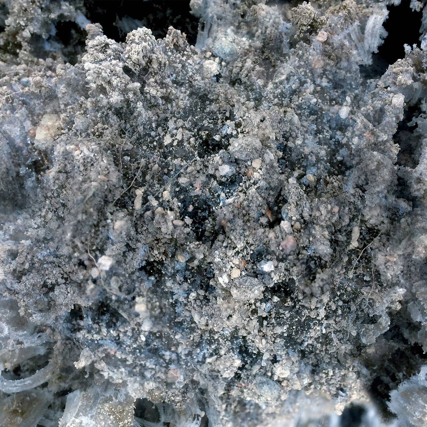 pel175 cover digital medium