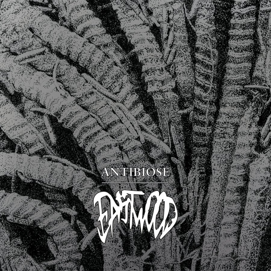 Eastwood - Antibiose LP