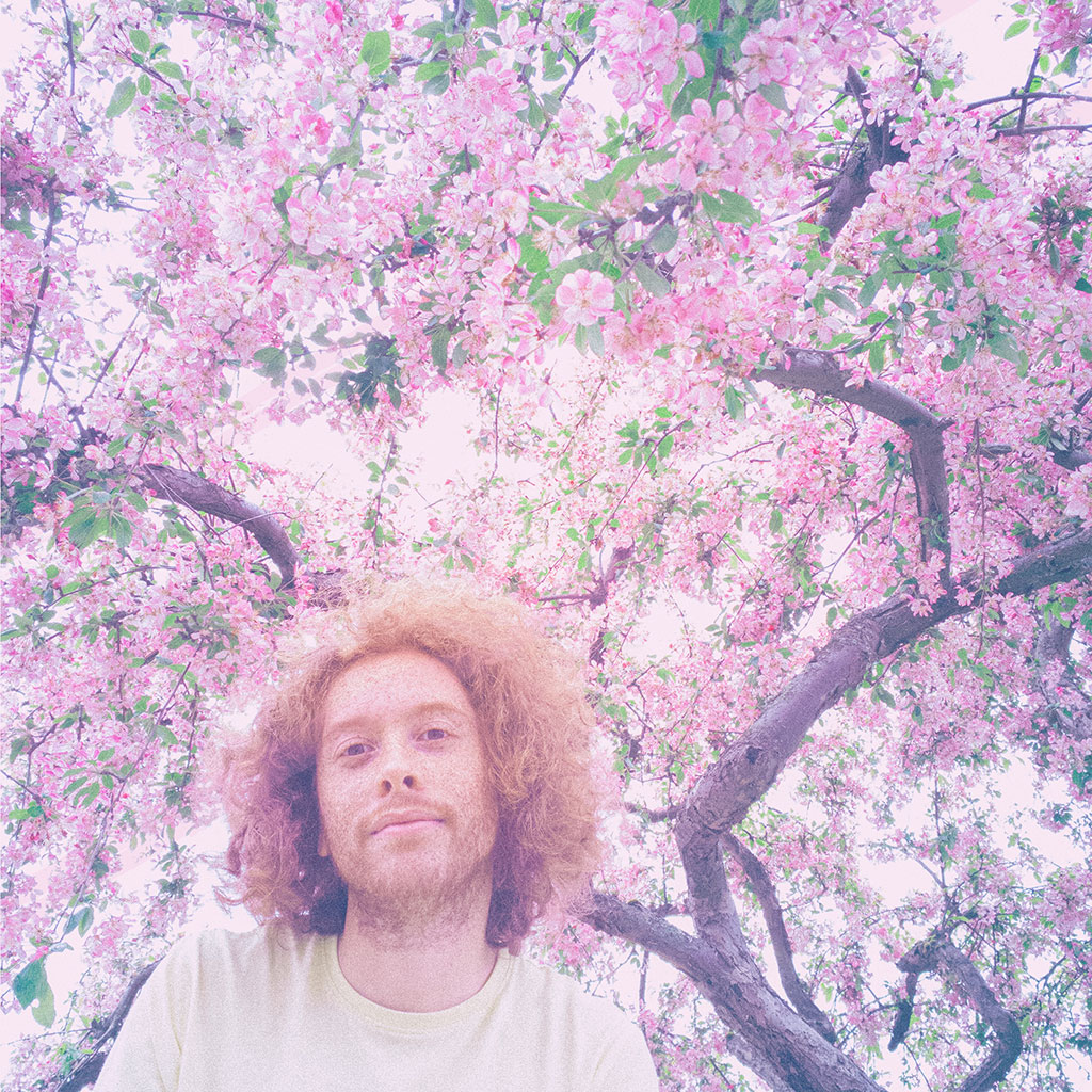 ilib promo shot final