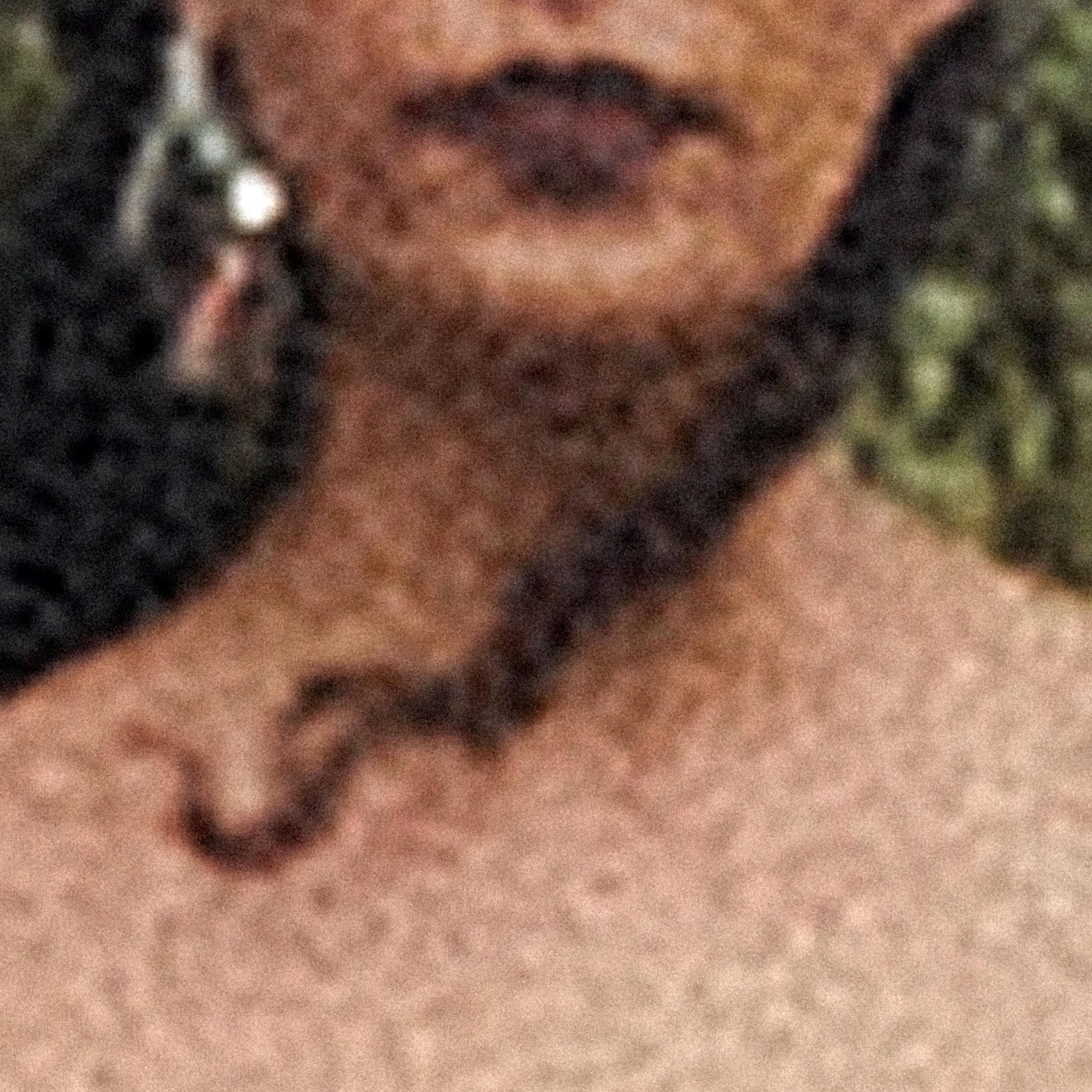 Jem Doulton - The Cows Came Home