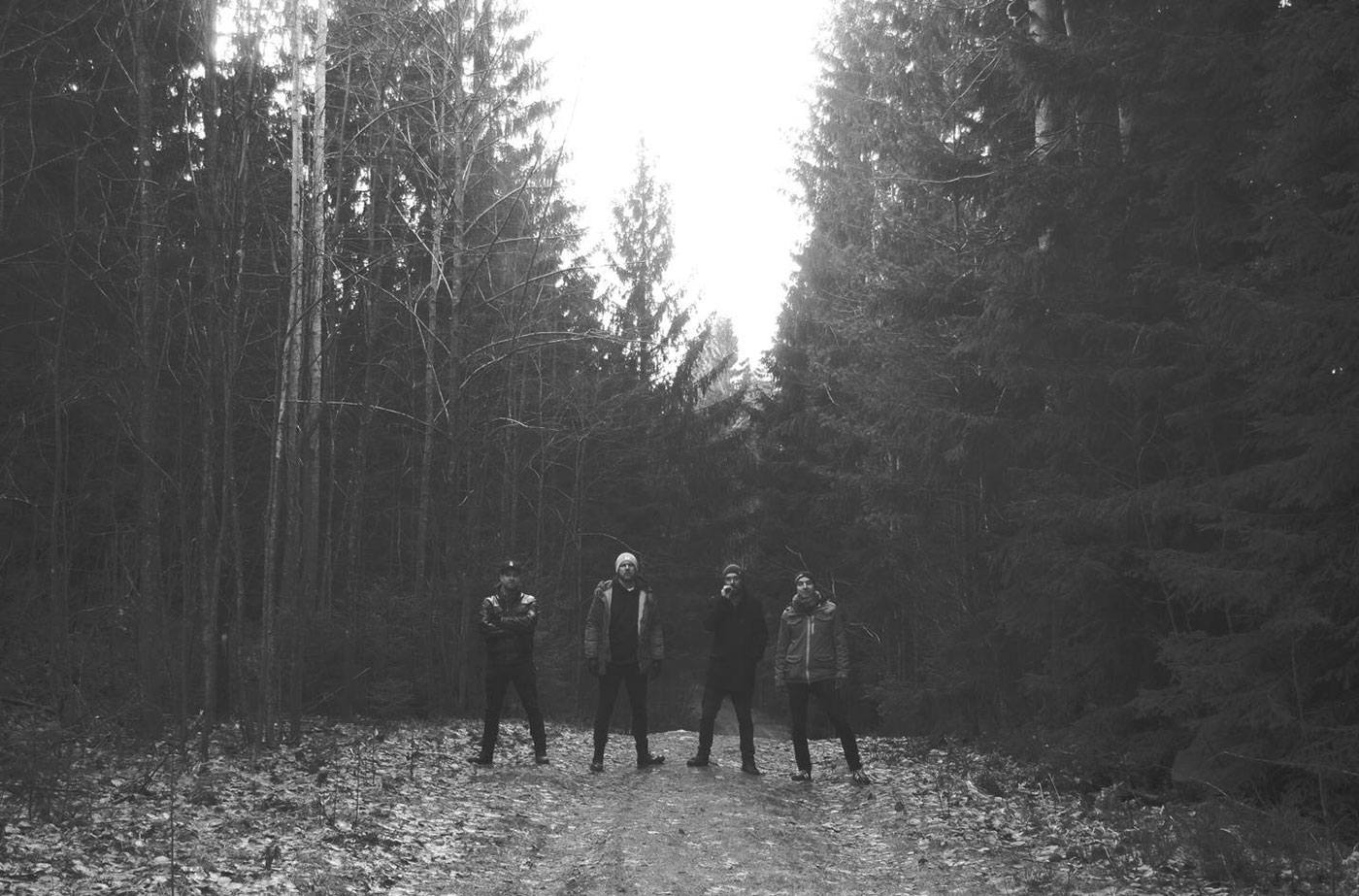 promophoto varoshan forest dark small