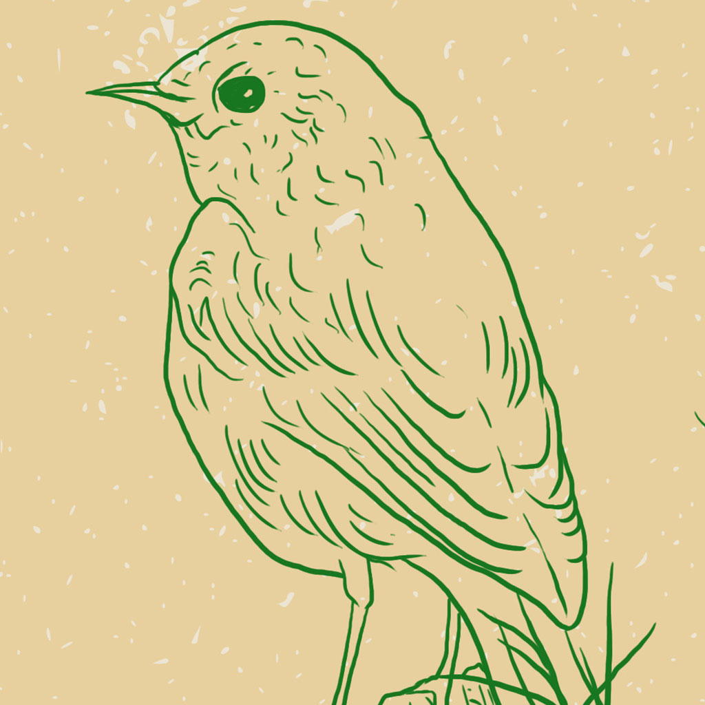 Perttu Leinonen - Happiness Is Meeting An Old Friend