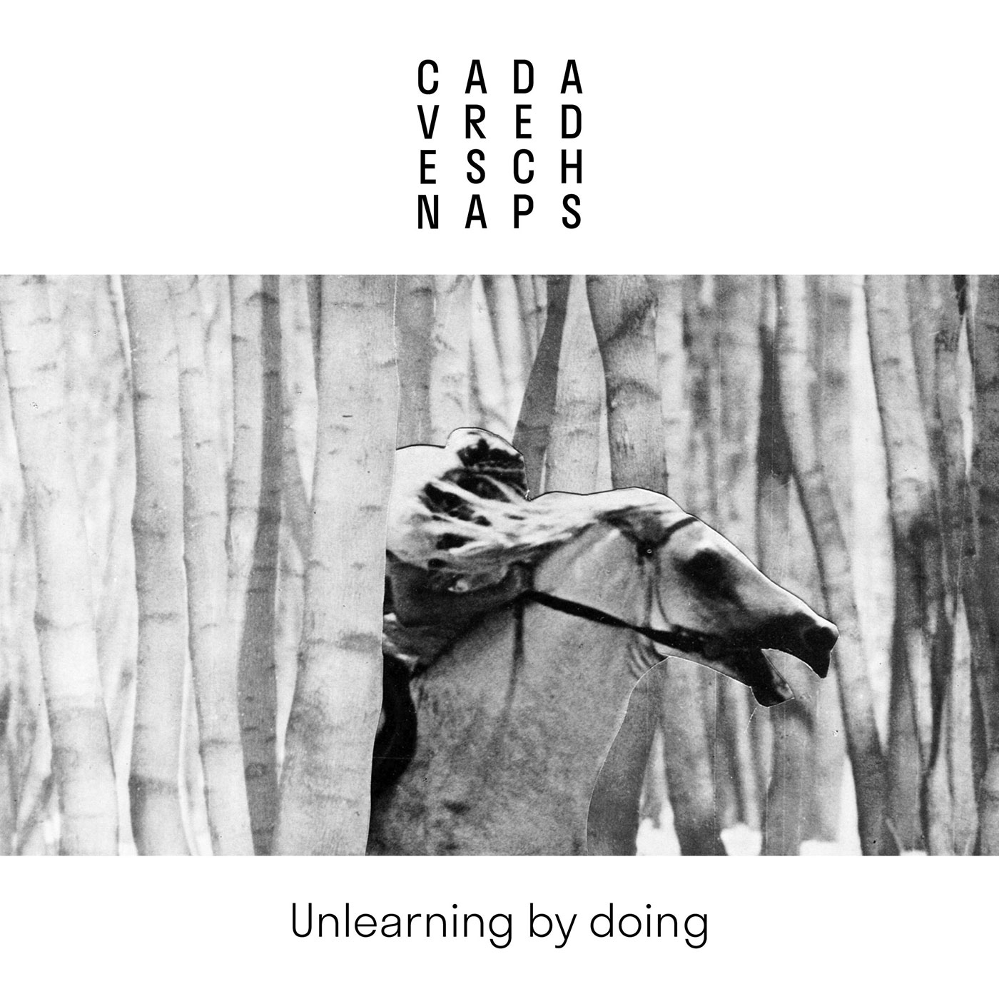 Cadavre De Schnaps - Unlearning By Doing CD - Barhill Records
