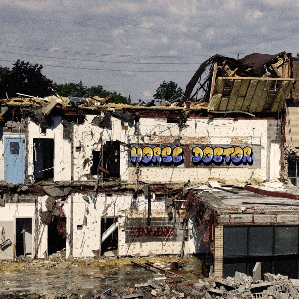 Horse Doctor – Sinking