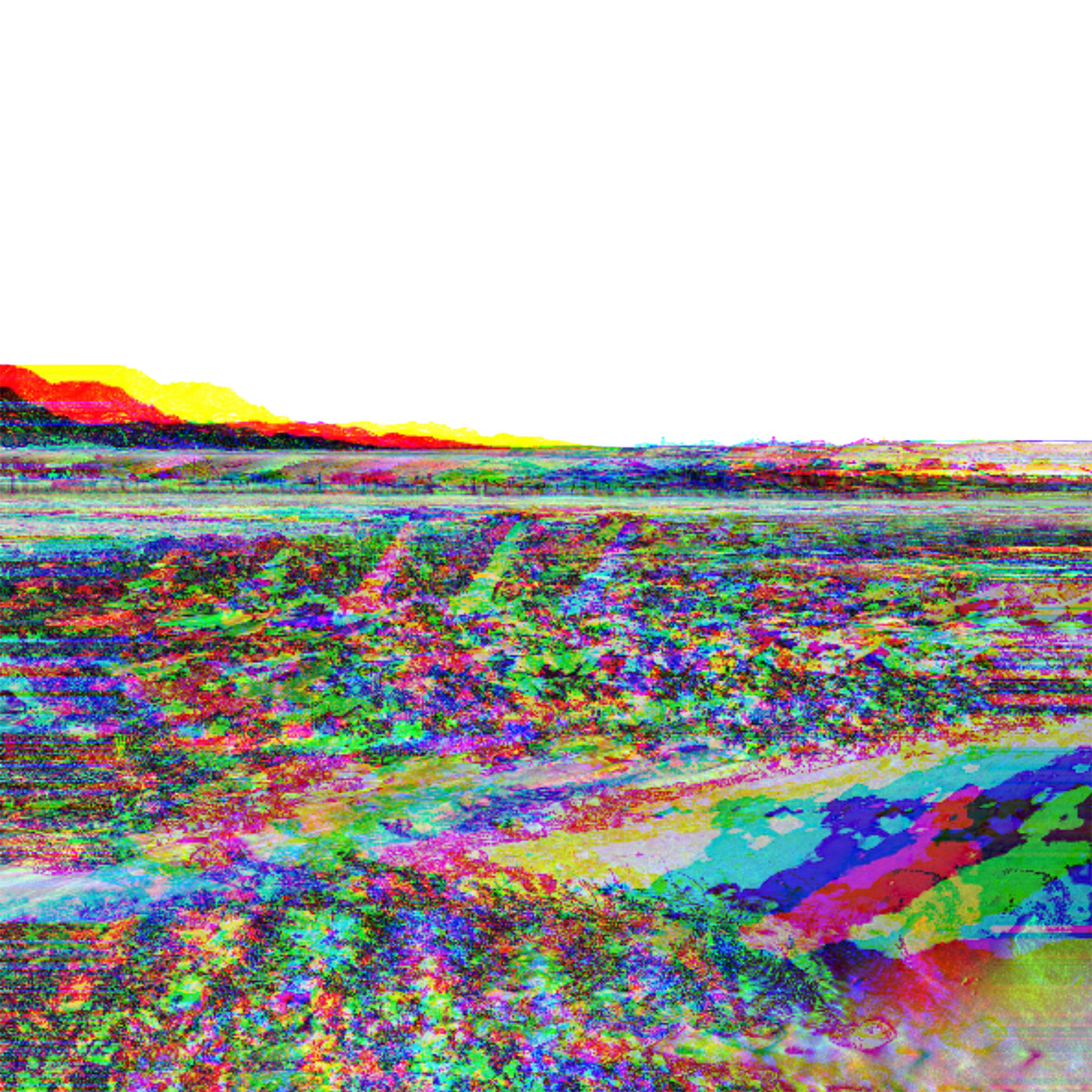 Koalra - When The Dust Settles