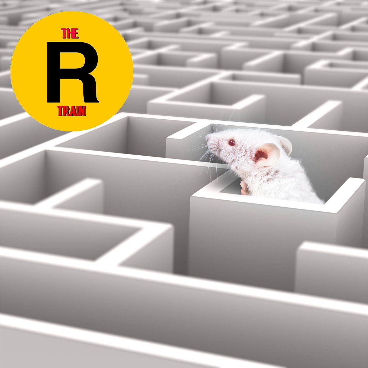 The R Train Band - We Gotta Get Out Of This Place