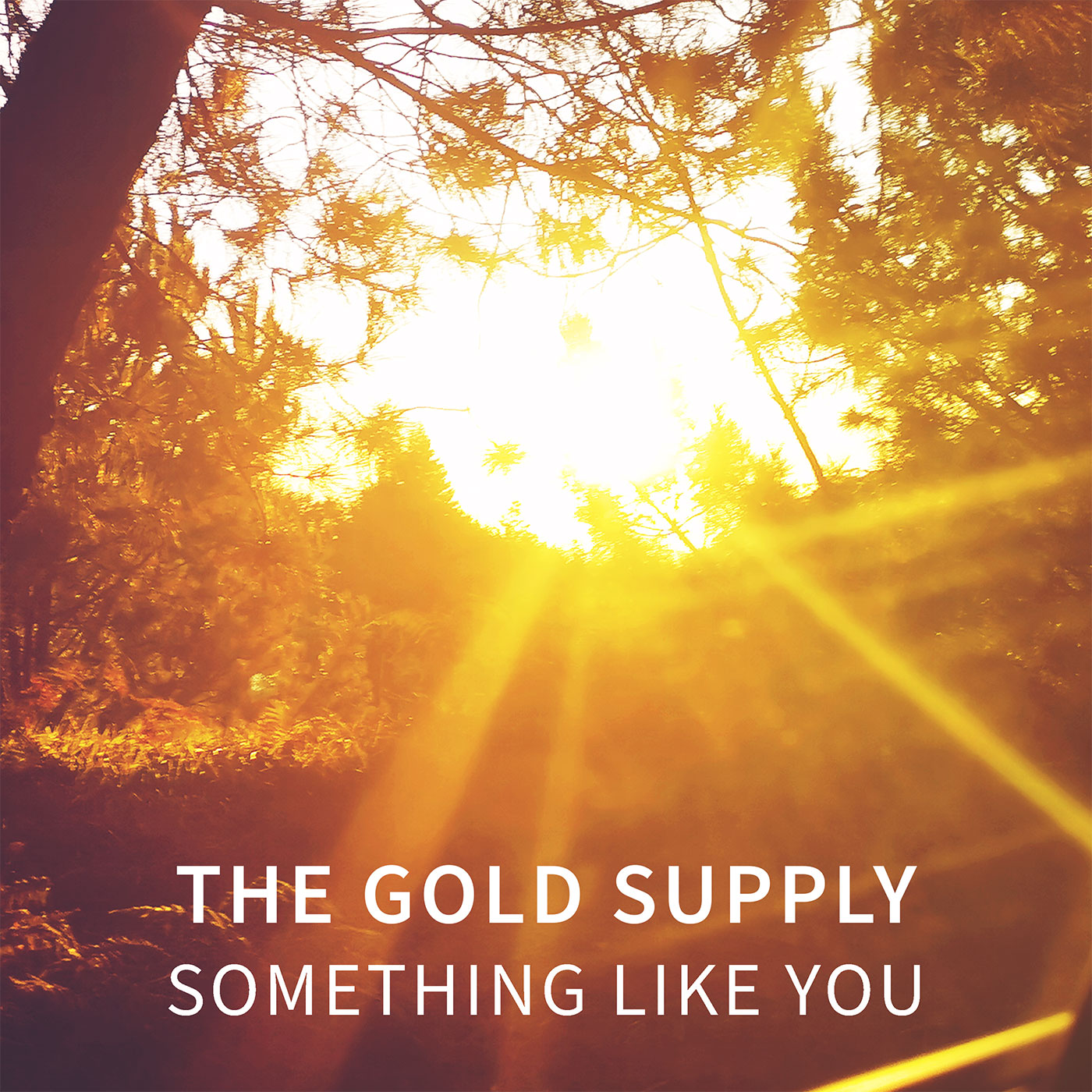 The Gold Supply - Something Like You