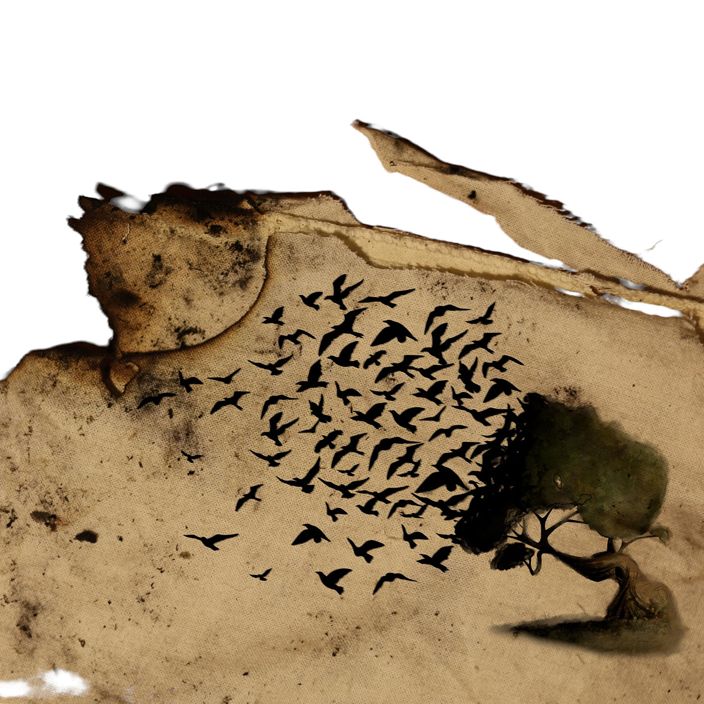 Lifts - Unconsidered