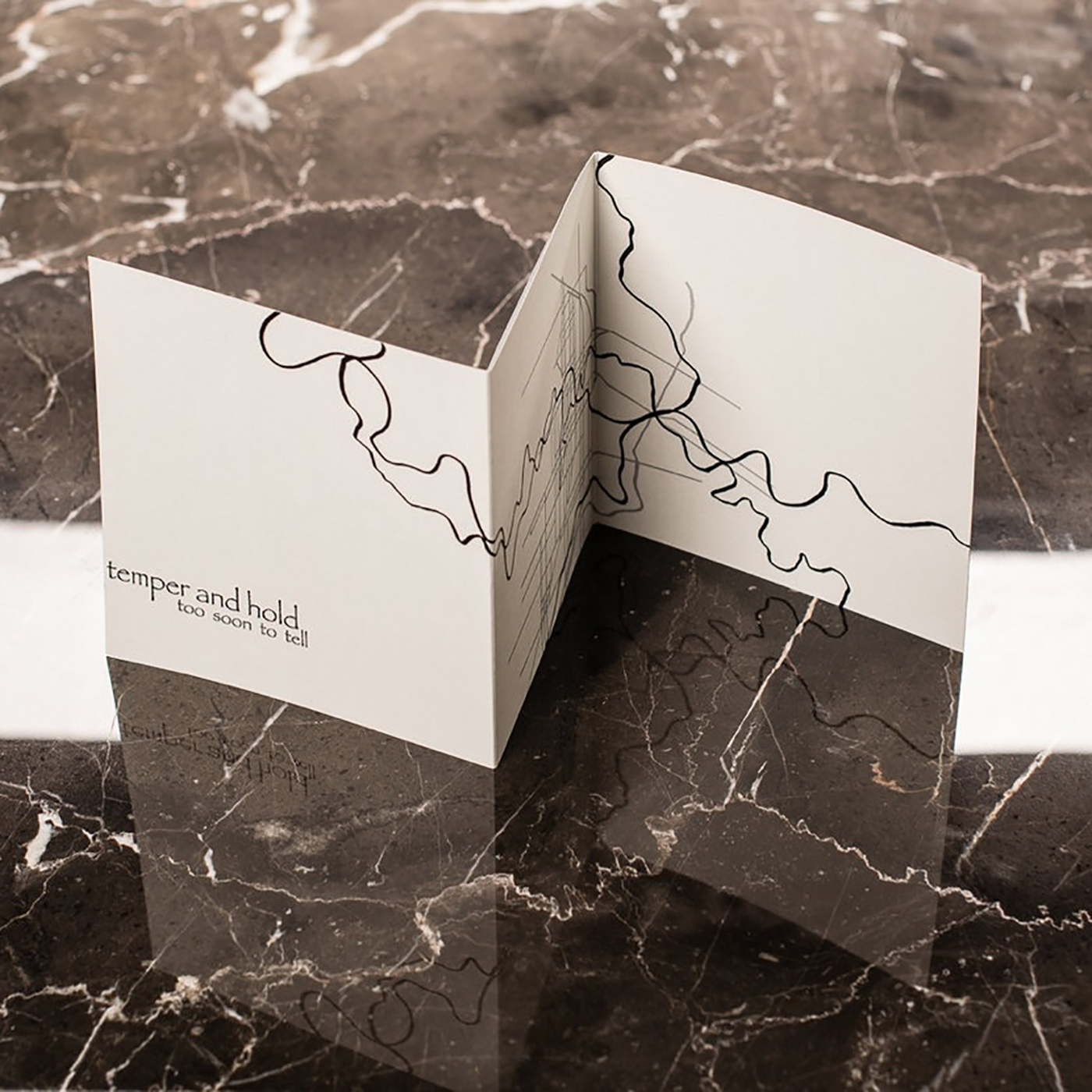 Temper & Hold - Too Soon To Tell CD - Grafton Records