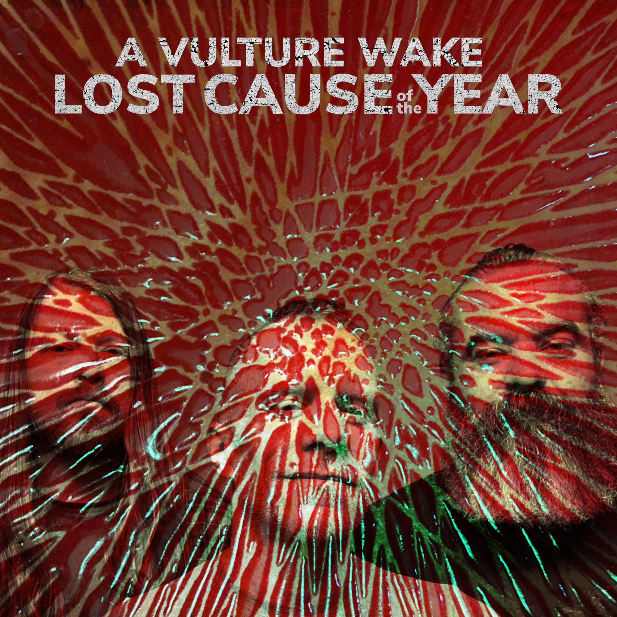 A Vulture Wake - Lost Cause Of The Year