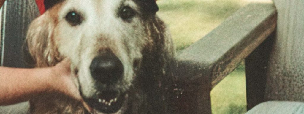 Yesterday’s Ring – Goodbye Nightlife LP (Little Rocket Records)