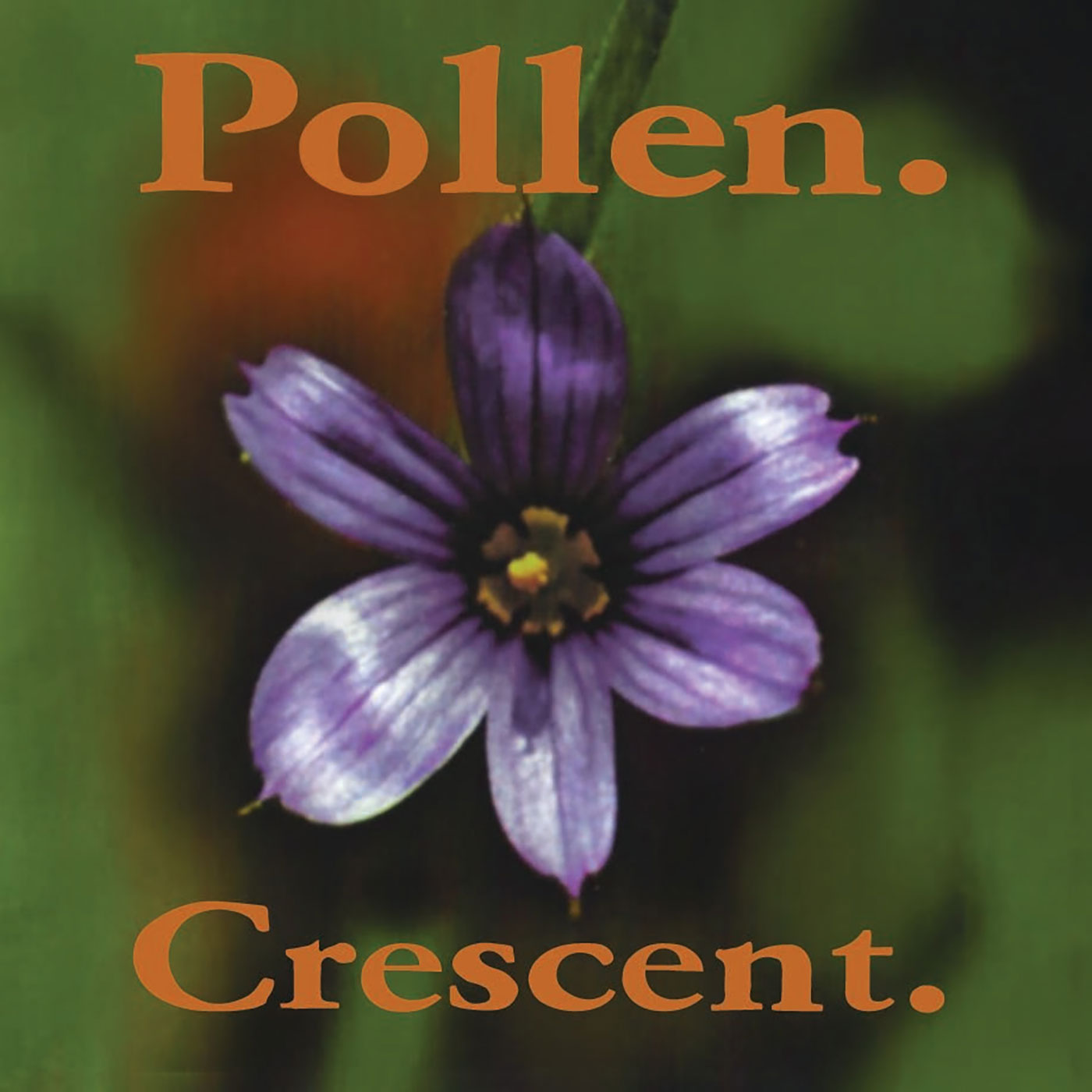 Pollen - Crescent