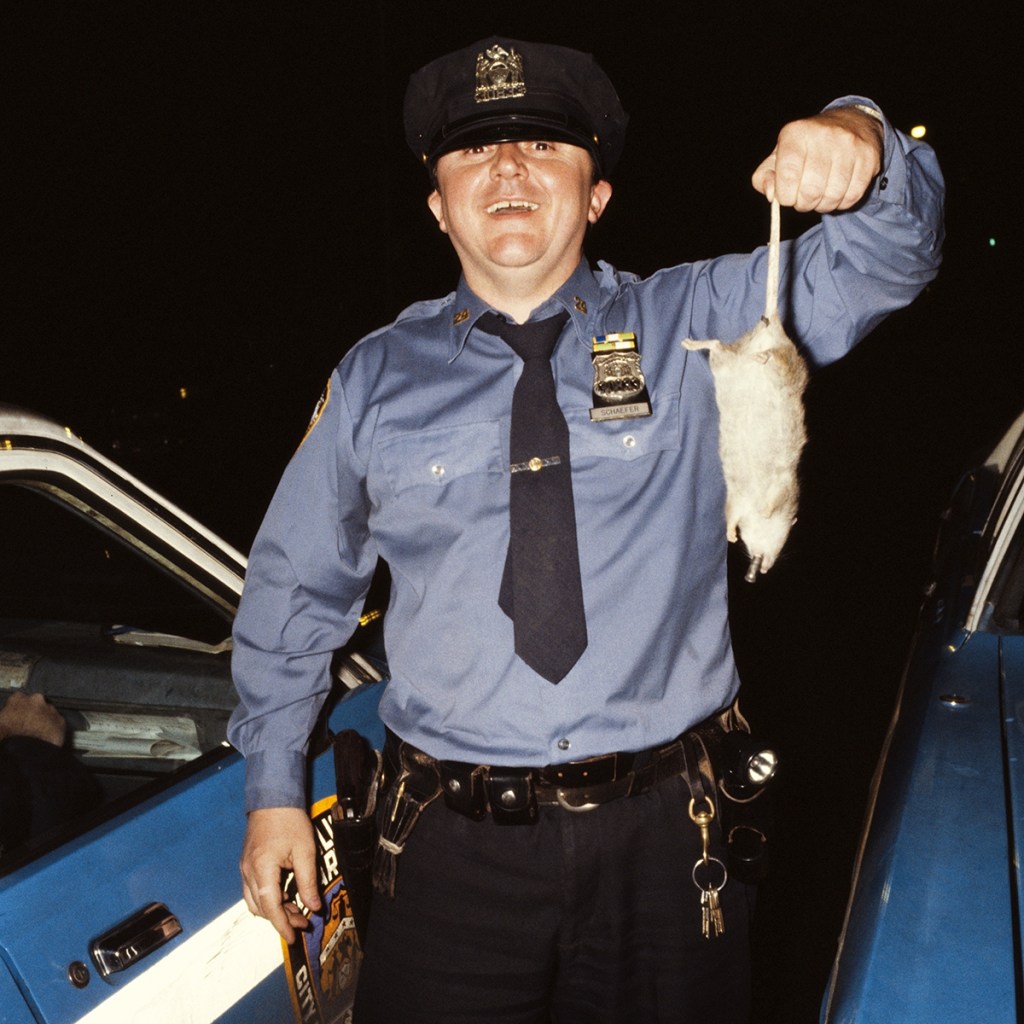 The Manges To Release Book Of Hate For Good People LP On September&nbsp;23rd