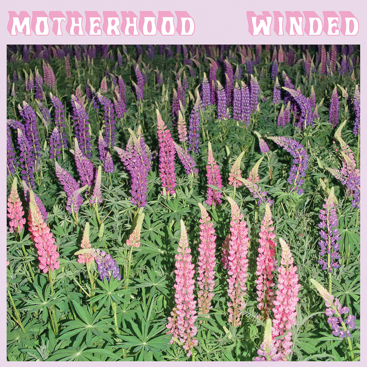 Motherhood - Winded LP - Forward Music Group