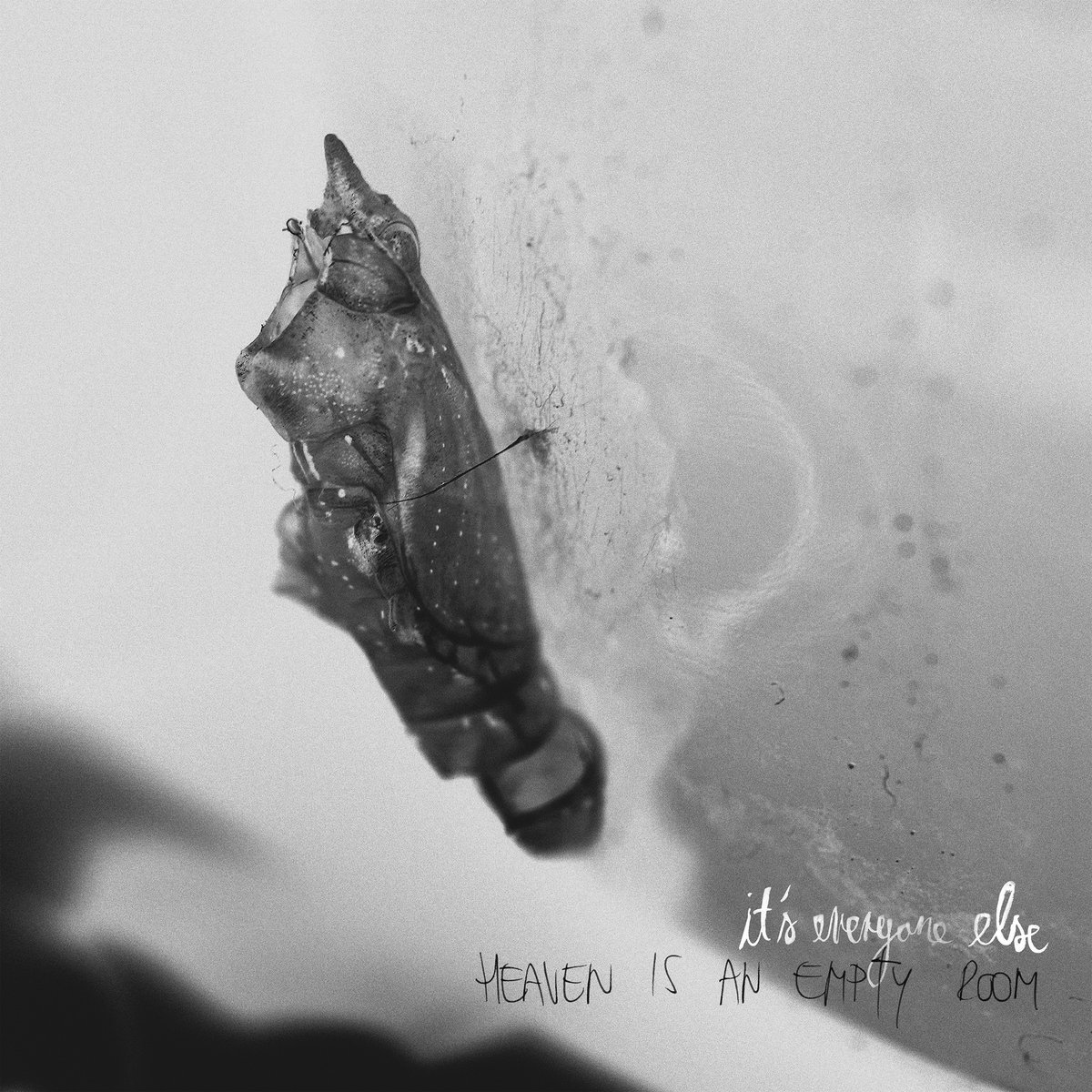 It's Everyone Else - Heaven Is An Empty Room LP - Noise Appeal Records