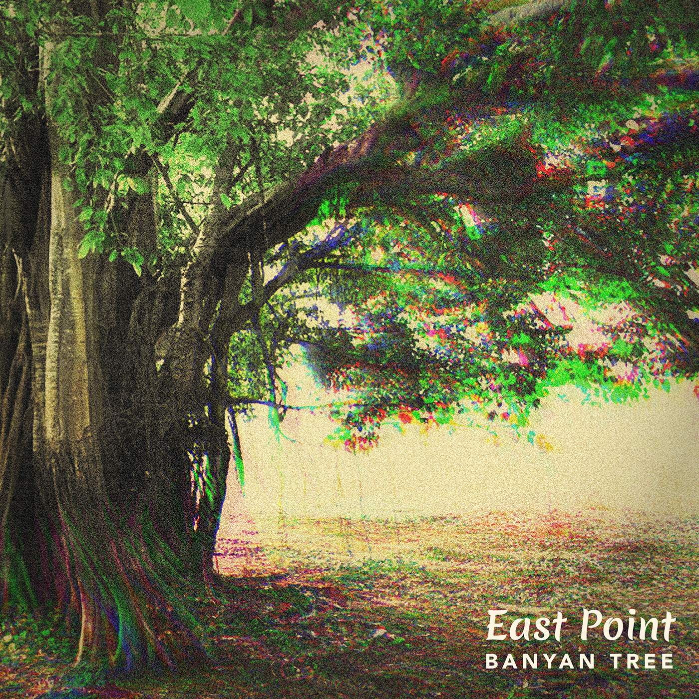 East Point - Banyan Tree