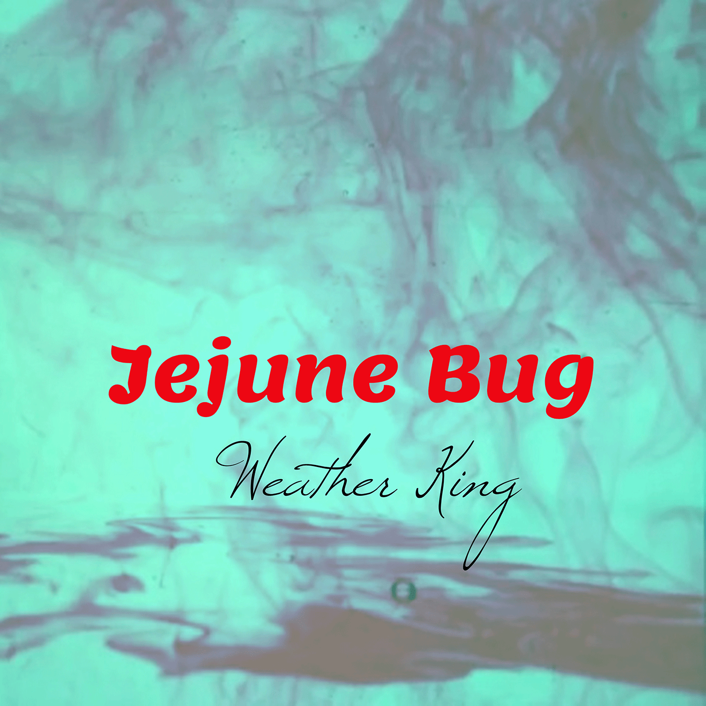 Weather King - Jejune Bug 1 Weather King - Jejune Bug