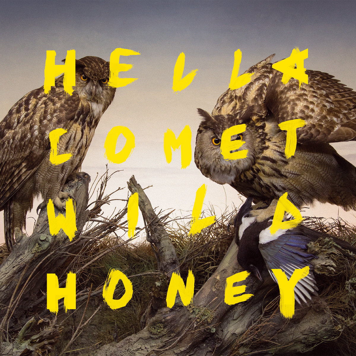 Hella Comet - Wild Honey LP (Noise Appeal Records) 1 Hella Comet - Wild Honey LP - Noise Appeal Records
