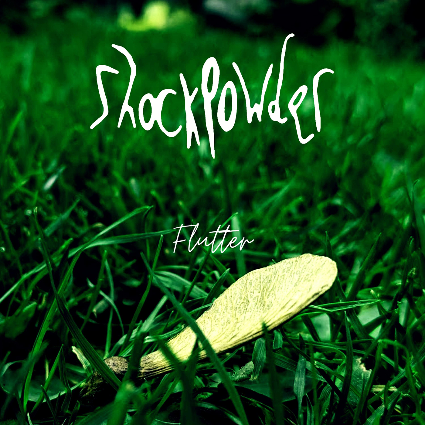 Shockpowder - Flutter
