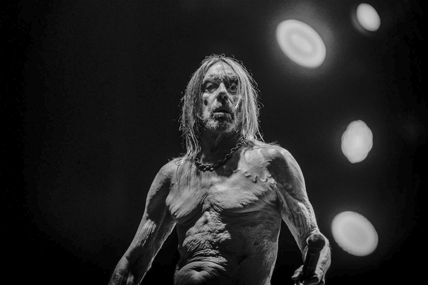 Iggy Pop