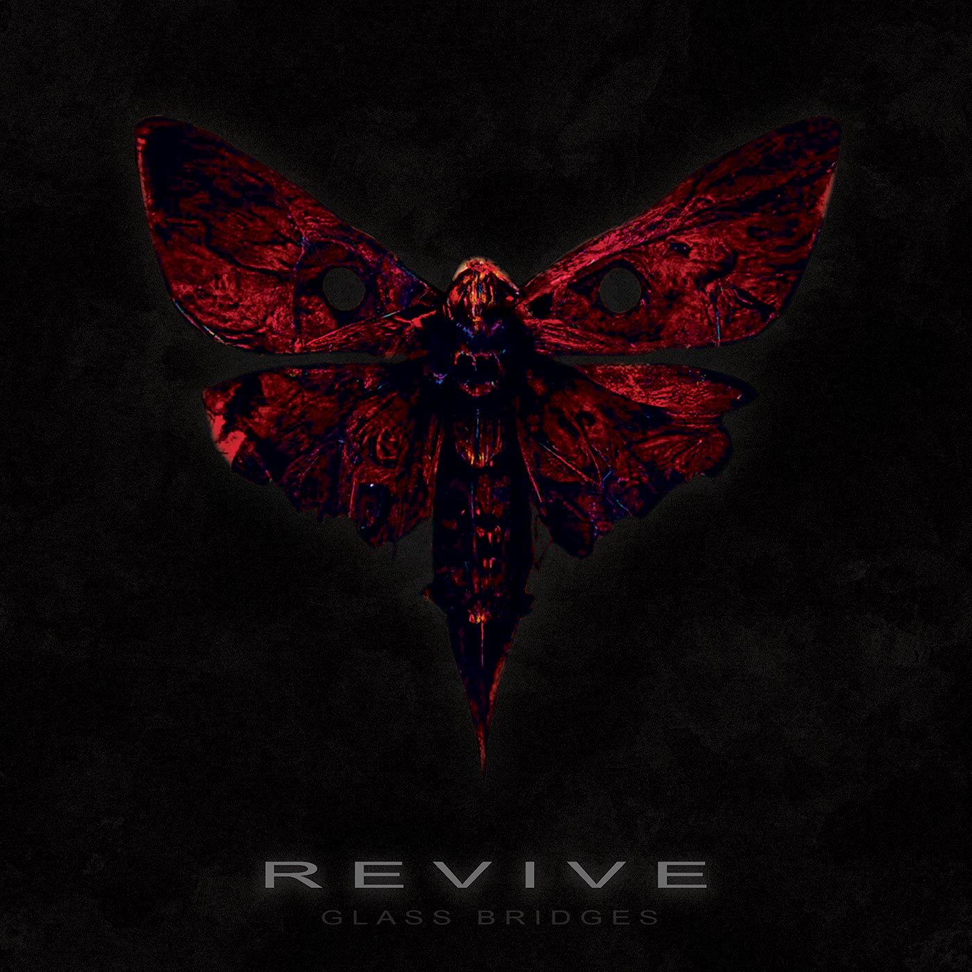Glass Bridges - Revive