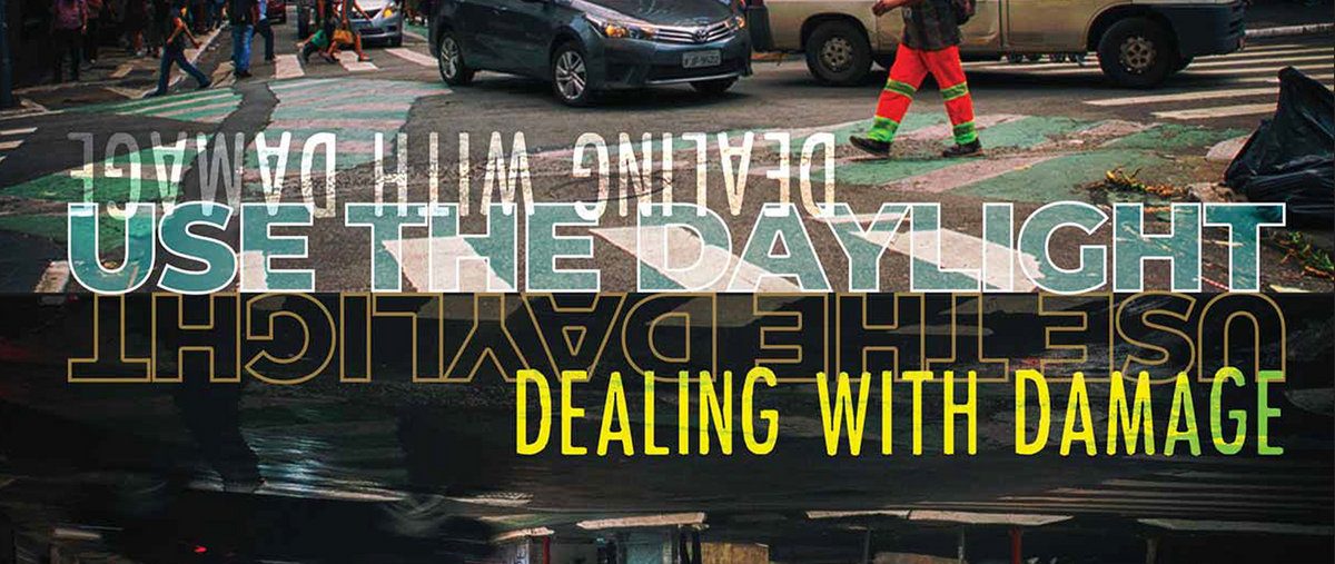 Dealing With Damage - Use The Daylight LP - Little Rocket Records