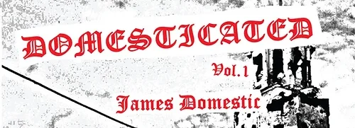 Domesticated by James Domestic
