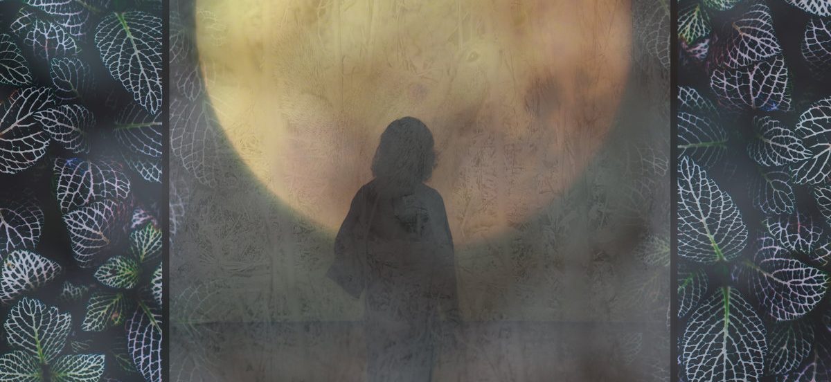 Vadim Taver - Vadim Taver