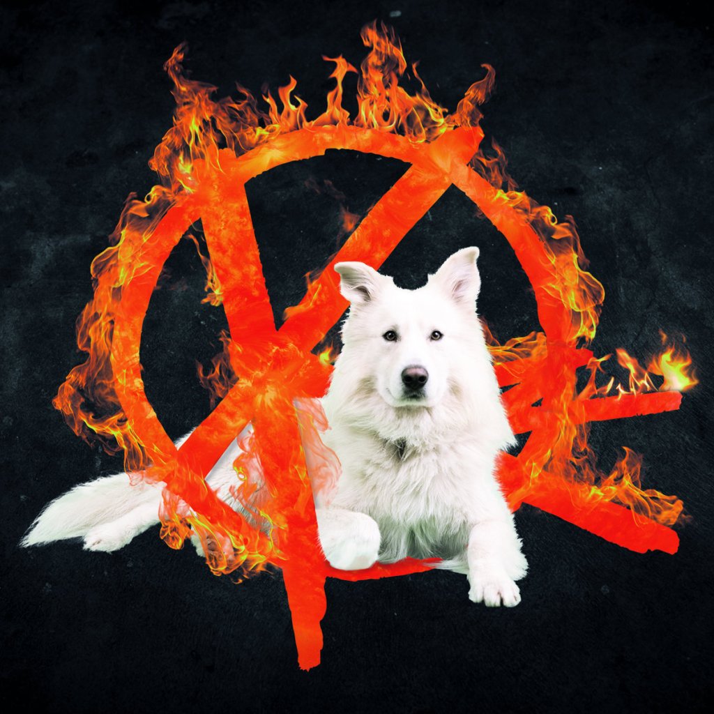 KermesZ à l'Est - Octophilia CD