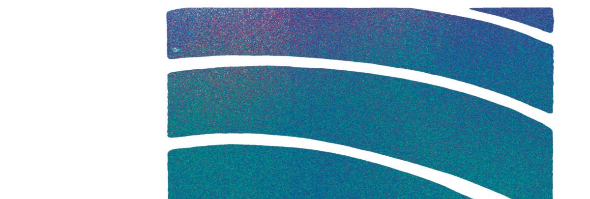 Celebration Guns & A Place For Owls - Split EP