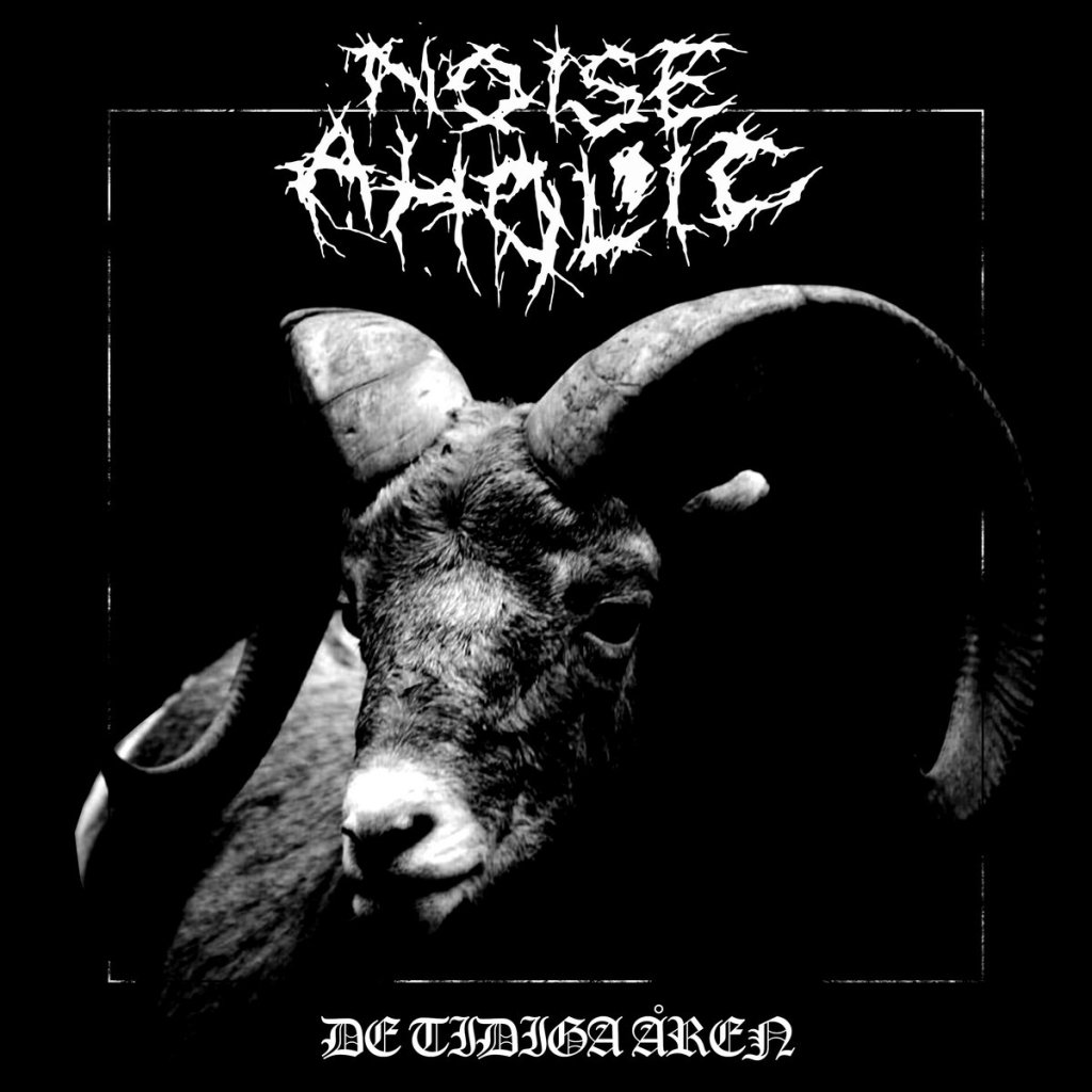 Noise Acholic - De tidiga åren CS - Elitbolaget