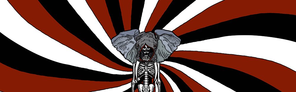 The Survival Code – We Are Just Fooling&nbsp;Ourselves