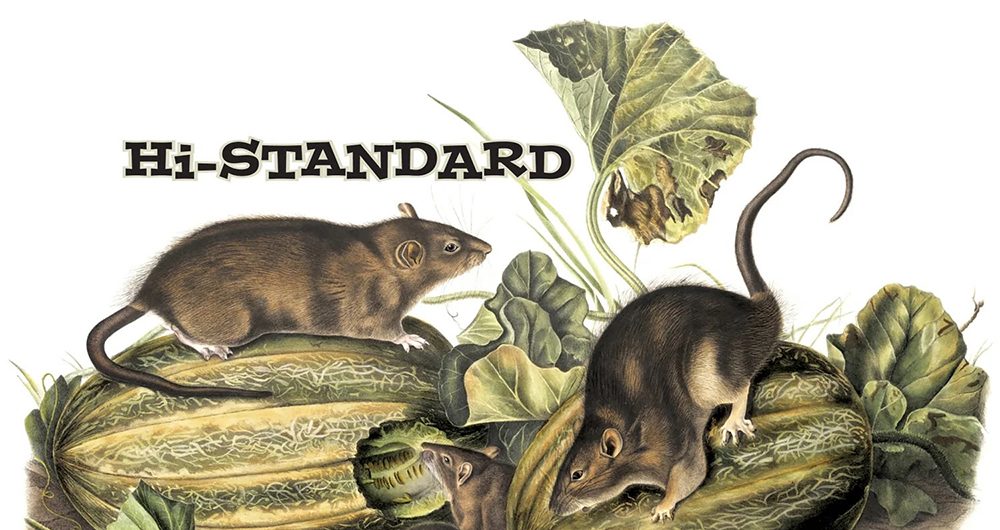 Hi-Standard - I'm A Rat 7"