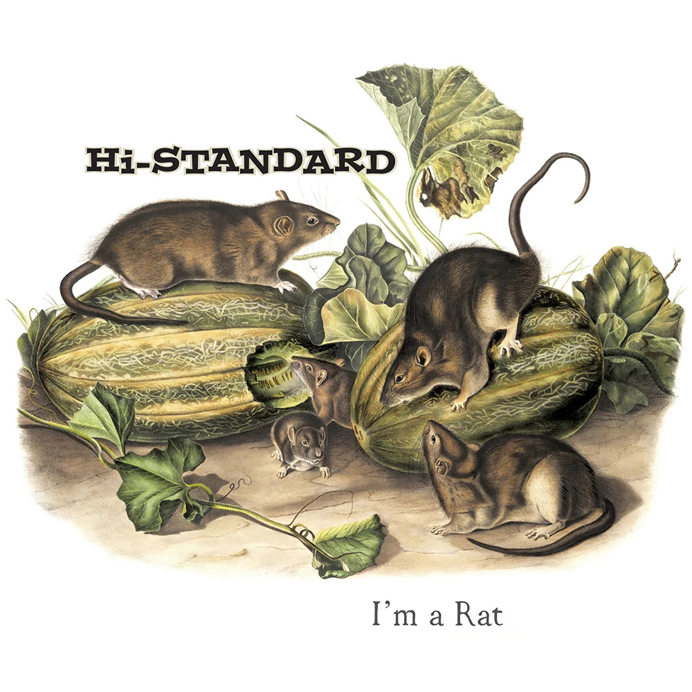 Hi-Standard - I'm A Rat 7"