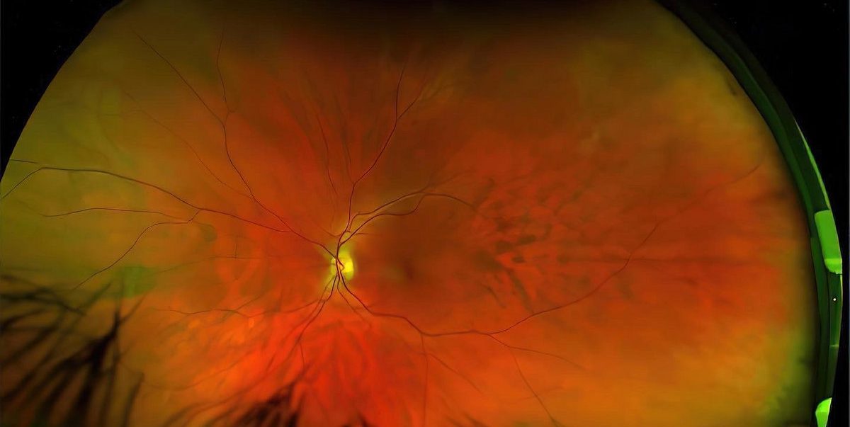 Greg Puciato - Mirrorcell CD - Federal Prisoner