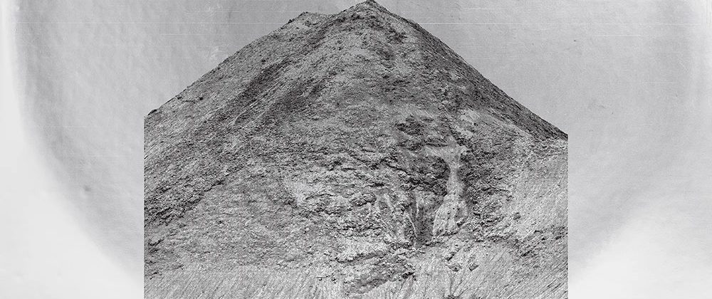 Lynx - Lynx LP + Human Speech 12" - Cmptr Stdnts