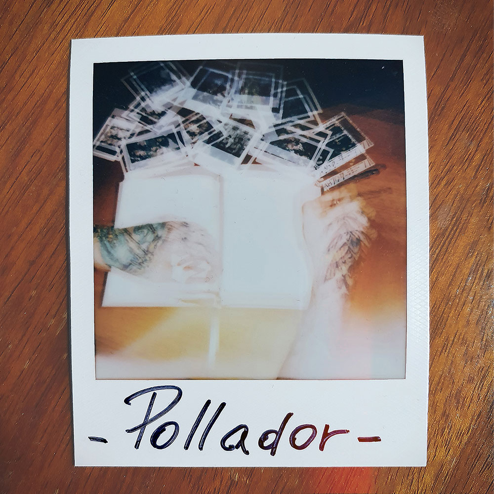 Forecast - Pollador
