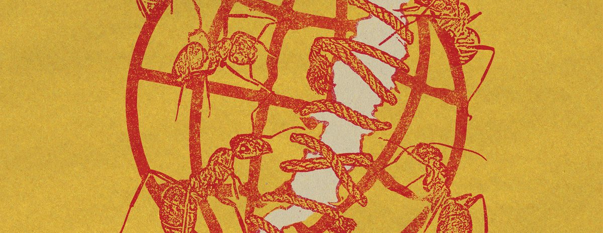 Antillectual - Together LP - Various Labels