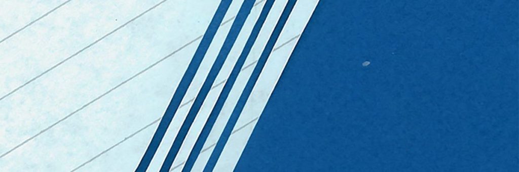 Street Stains – Street Stains 10″ (Expert Work&nbsp;Records)