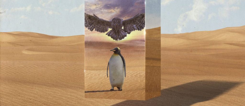 Toxins - Existential Dread LP